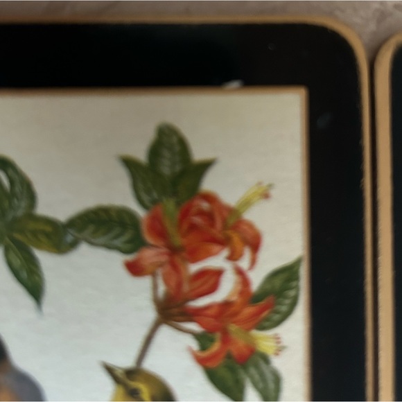 Vintage Bird Illustration Coasters Set of 6 - Picture 3 of 4